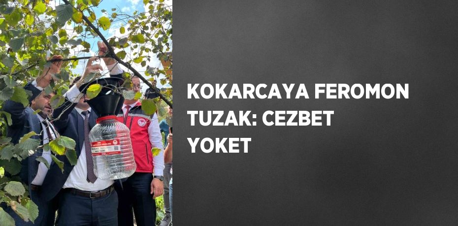 KOKARCAYA FEROMON TUZAK: CEZBET YOKET