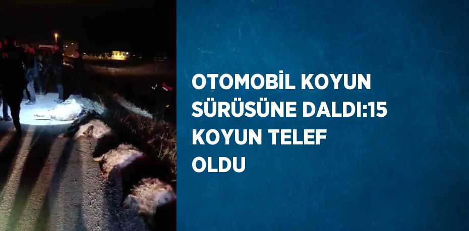 OTOMOBİL KOYUN SÜRÜSÜNE DALDI:15 KOYUN TELEF OLDU