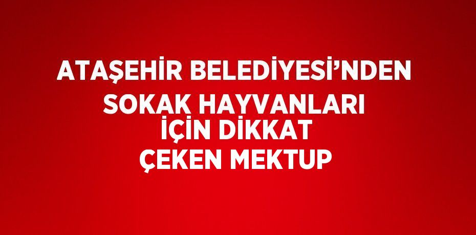 ATAŞEHİR BELEDİYESİ’NDEN SOKAK HAYVANLARI İÇİN DİKKAT ÇEKEN MEKTUP