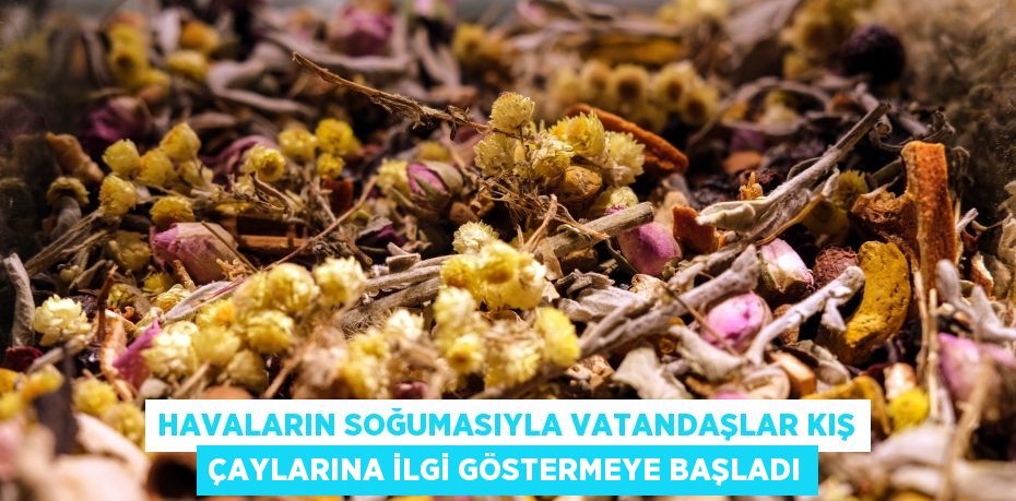 Havaların soğumasıyla vatandaşlar kış çaylarına ilgi göstermeye başladı