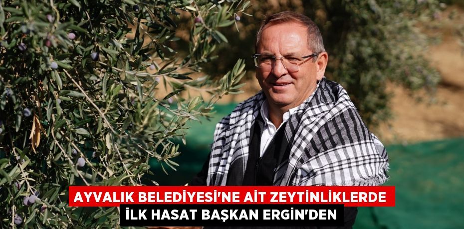 AYVALIK BELEDİYESİ’NE AİT ZEYTİNLİKLERDE İLK HASAT BAŞKAN ERGİN’DEN
