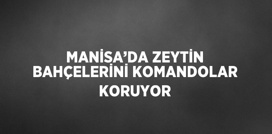 MANİSA’DA ZEYTİN BAHÇELERİNİ KOMANDOLAR KORUYOR