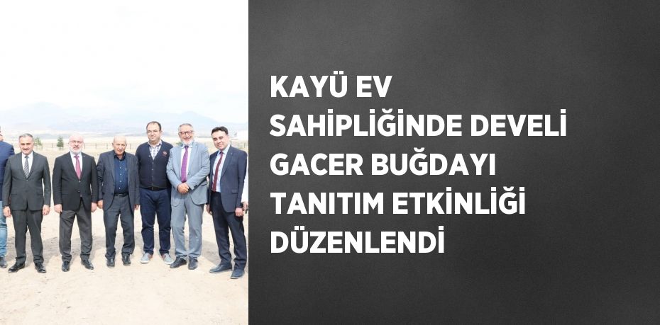KAYÜ EV SAHİPLİĞİNDE DEVELİ GACER BUĞDAYI TANITIM ETKİNLİĞİ DÜZENLENDİ