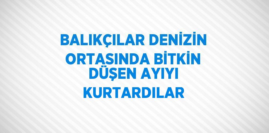 BALIKÇILAR DENİZİN ORTASINDA BİTKİN DÜŞEN AYIYI KURTARDILAR