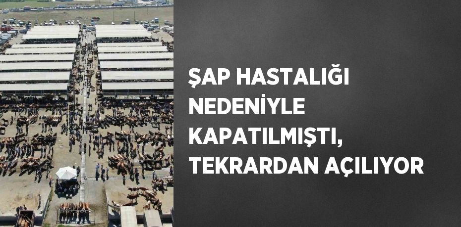 ŞAP HASTALIĞI NEDENİYLE KAPATILMIŞTI, TEKRARDAN AÇILIYOR