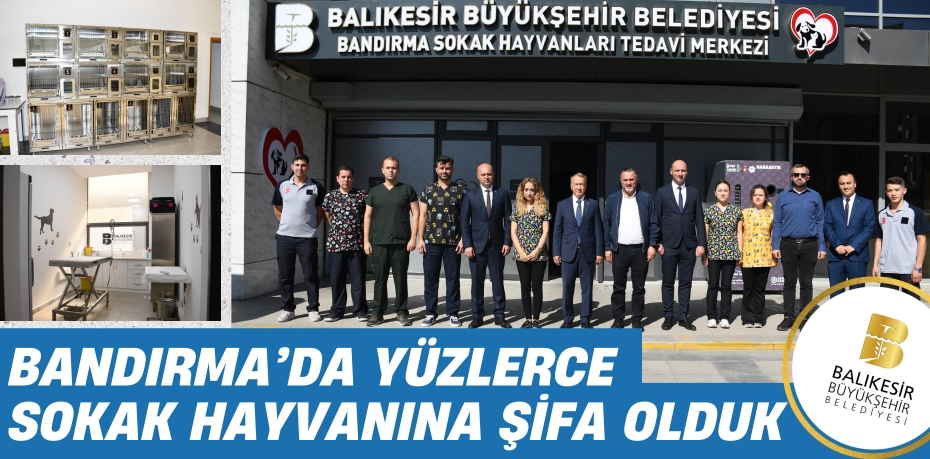 BANDIRMA’DA YÜZLERCE SOKAK  HAYVANINA ŞİFA OLDUK