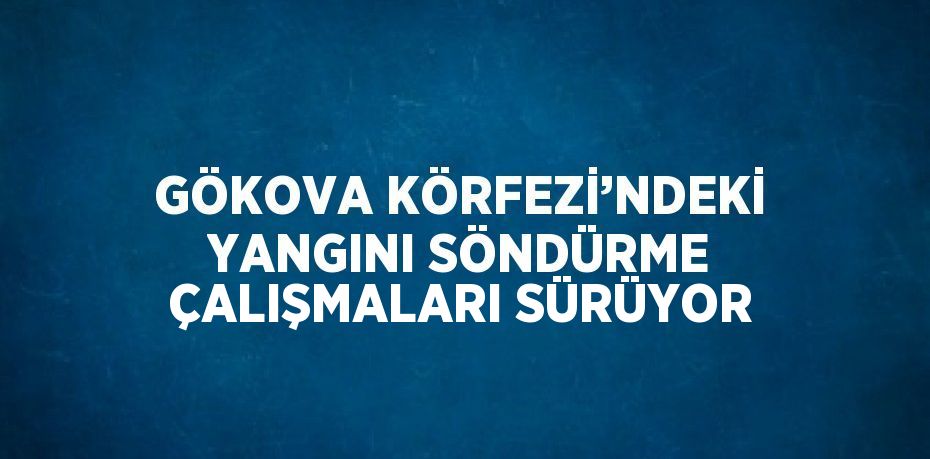 GÖKOVA KÖRFEZİ’NDEKİ YANGINI SÖNDÜRME ÇALIŞMALARI SÜRÜYOR