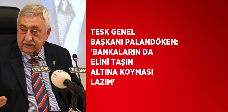 TESK GENEL BAŞKANI PALANDÖKEN: 'BANKALARIN DA ELİNİ TAŞIN ALTINA KOYMASI LAZIM'