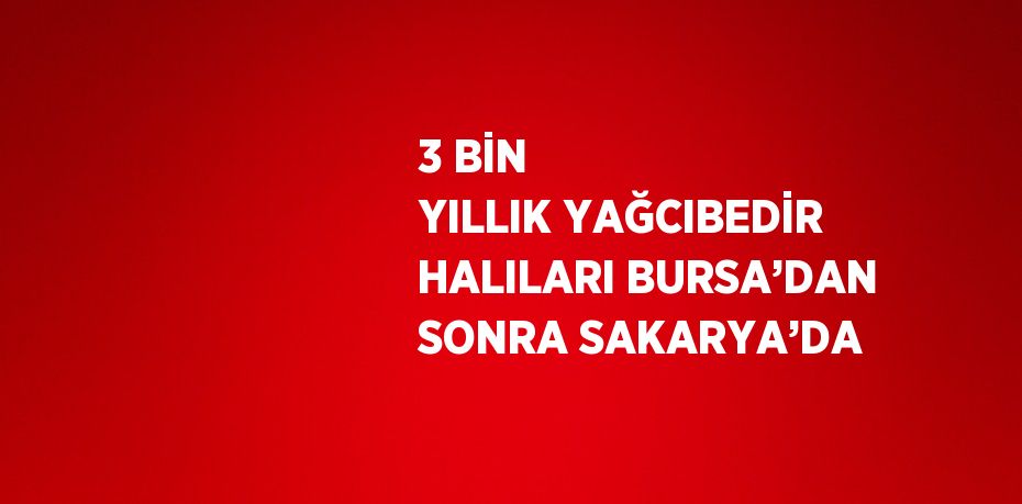 3 BİN YILLIK YAĞCIBEDİR HALILARI BURSA’DAN SONRA SAKARYA’DA