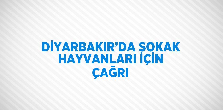 DİYARBAKIR’DA SOKAK HAYVANLARI İÇİN ÇAĞRI