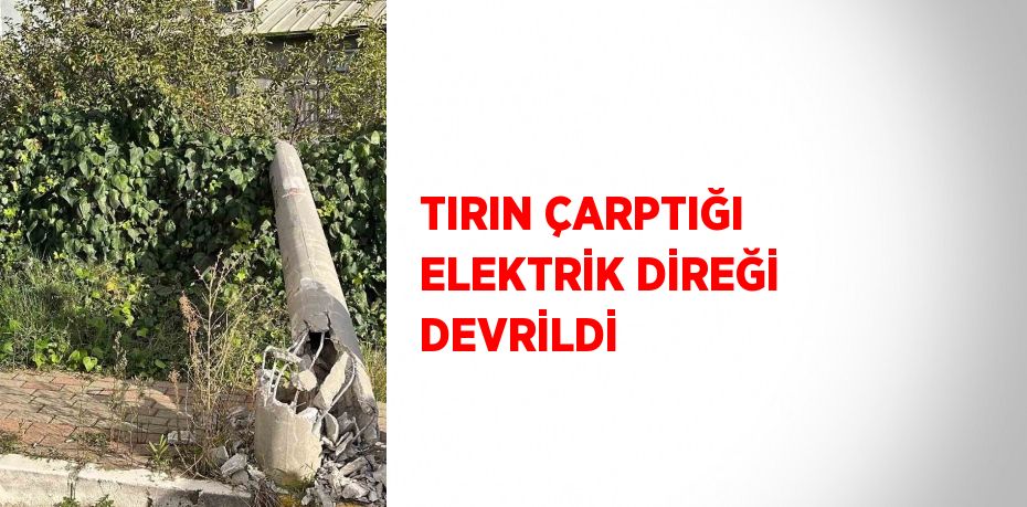 TIRIN ÇARPTIĞI ELEKTRİK DİREĞİ DEVRİLDİ