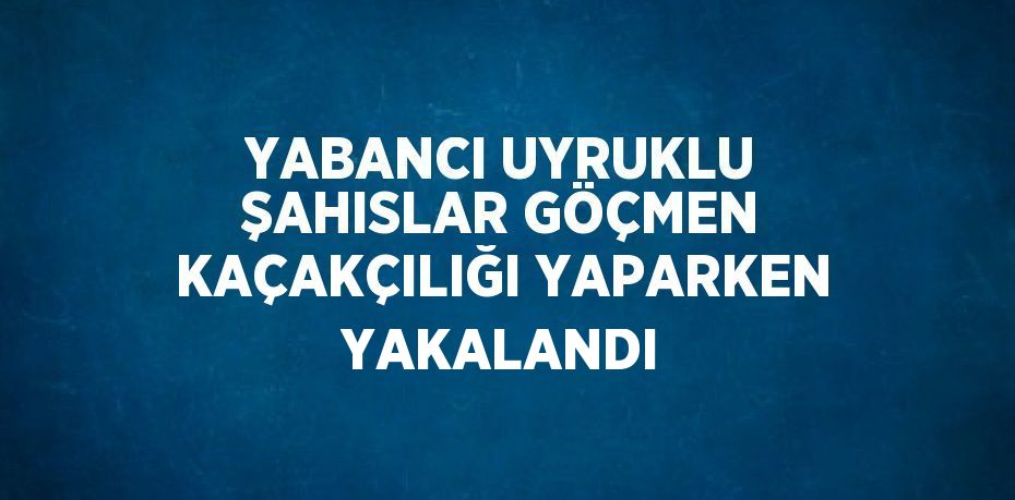 YABANCI UYRUKLU ŞAHISLAR GÖÇMEN KAÇAKÇILIĞI YAPARKEN YAKALANDI