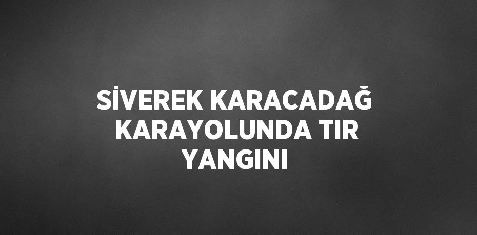 SİVEREK KARACADAĞ KARAYOLUNDA TIR YANGINI