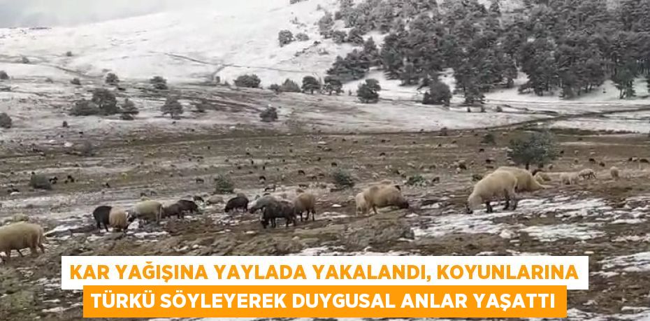 KAR YAĞIŞINA YAYLADA YAKALANDI, KOYUNLARINA TÜRKÜ SÖYLEYEREK DUYGUSAL ANLAR YAŞATTI