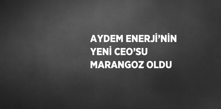 AYDEM ENERJİ’NİN YENİ CEO’SU MARANGOZ OLDU