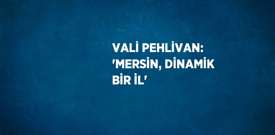 VALİ PEHLİVAN: 'MERSİN, DİNAMİK BİR İL'