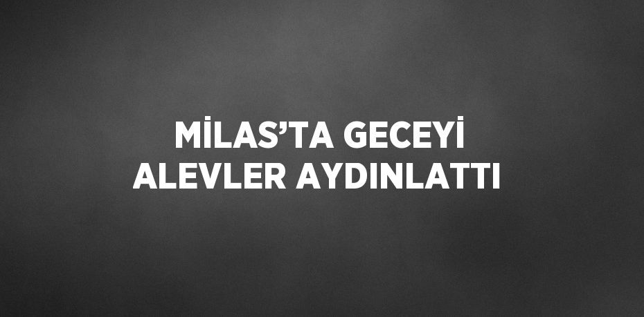 MİLAS’TA GECEYİ ALEVLER AYDINLATTI