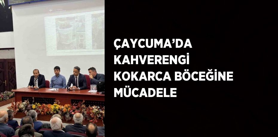 ÇAYCUMA’DA KAHVERENGİ KOKARCA BÖCEĞİNE MÜCADELE