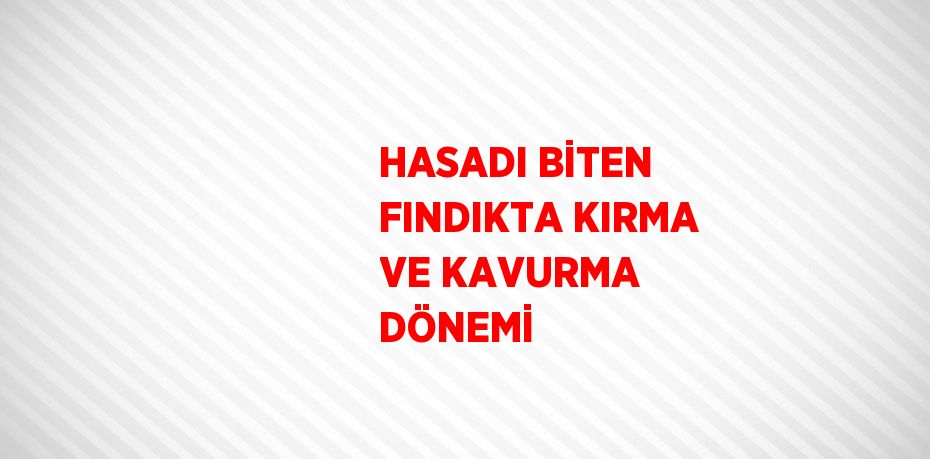 HASADI BİTEN FINDIKTA KIRMA VE KAVURMA DÖNEMİ