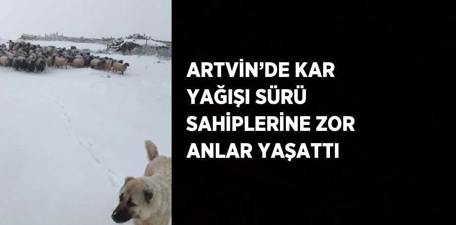 ARTVİN’DE KAR YAĞIŞI SÜRÜ SAHİPLERİNE ZOR ANLAR YAŞATTI