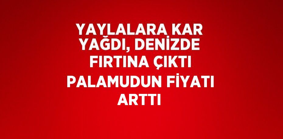 YAYLALARA KAR YAĞDI, DENİZDE FIRTINA ÇIKTI PALAMUDUN FİYATI ARTTI