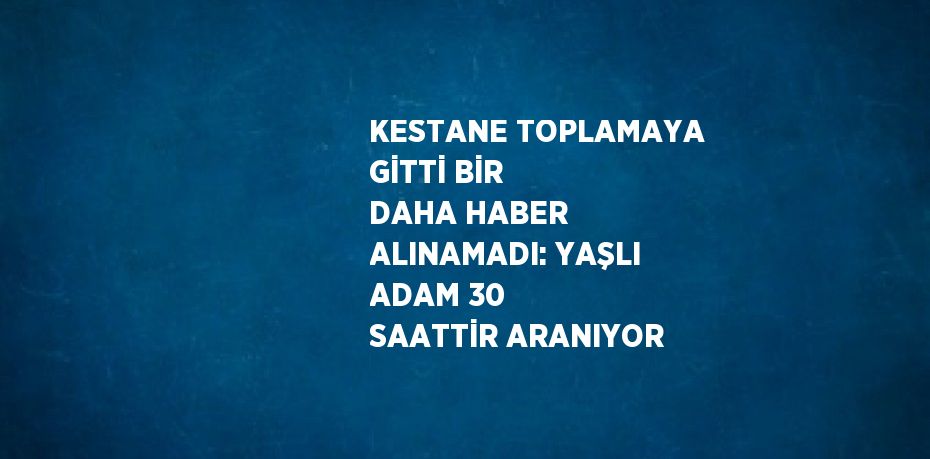 KESTANE TOPLAMAYA GİTTİ BİR DAHA HABER ALINAMADI: YAŞLI ADAM 30 SAATTİR ARANIYOR