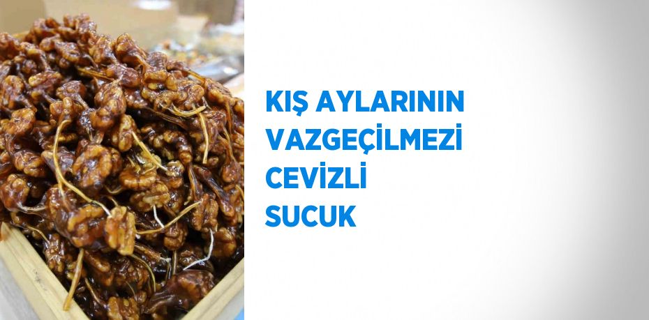 KIŞ AYLARININ VAZGEÇİLMEZİ CEVİZLİ SUCUK