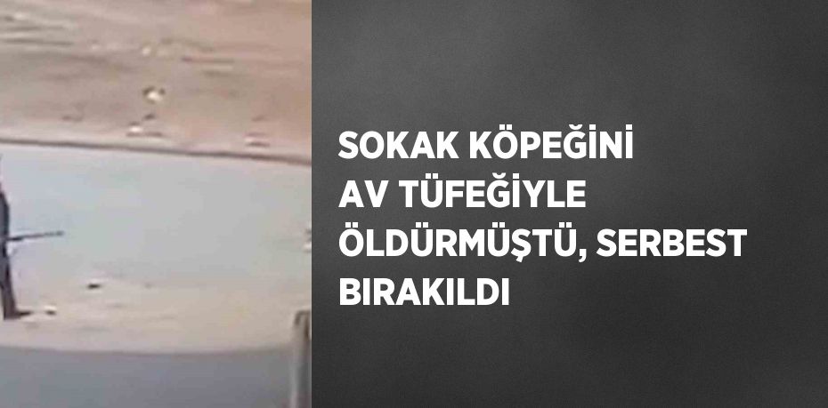 SOKAK KÖPEĞİNİ AV TÜFEĞİYLE ÖLDÜRMÜŞTÜ, SERBEST BIRAKILDI