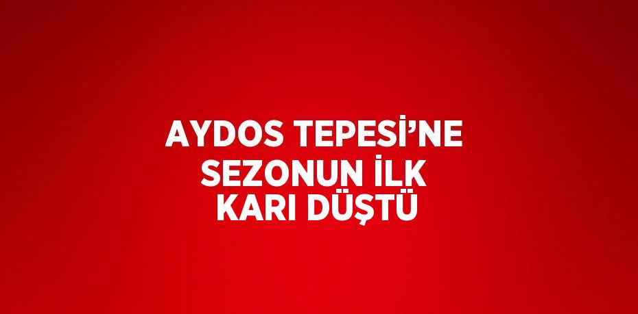 AYDOS TEPESİ’NE SEZONUN İLK KARI DÜŞTÜ