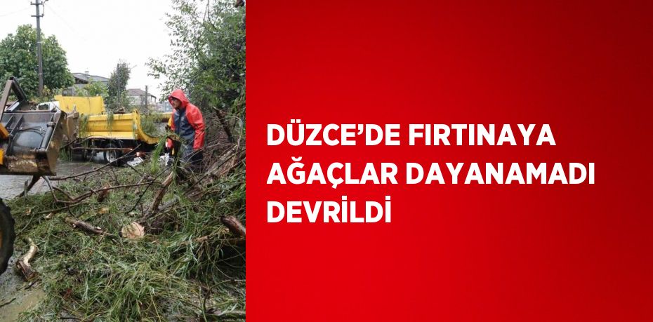 DÜZCE’DE FIRTINAYA AĞAÇLAR DAYANAMADI DEVRİLDİ