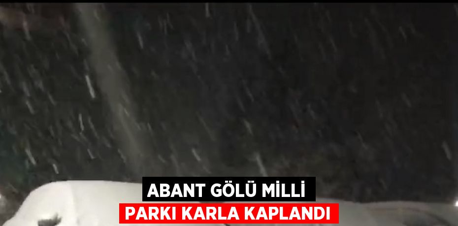 ABANT GÖLÜ MİLLİ PARKI KARLA KAPLANDI