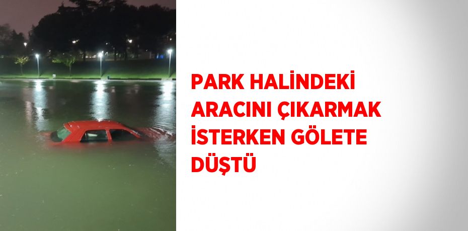 PARK HALİNDEKİ ARACINI ÇIKARMAK İSTERKEN GÖLETE DÜŞTÜ