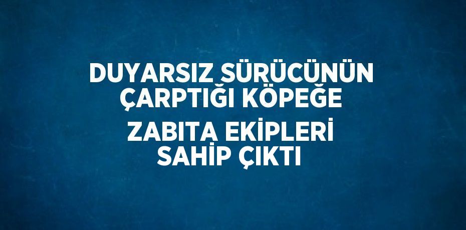 DUYARSIZ SÜRÜCÜNÜN ÇARPTIĞI KÖPEĞE ZABITA EKİPLERİ SAHİP ÇIKTI