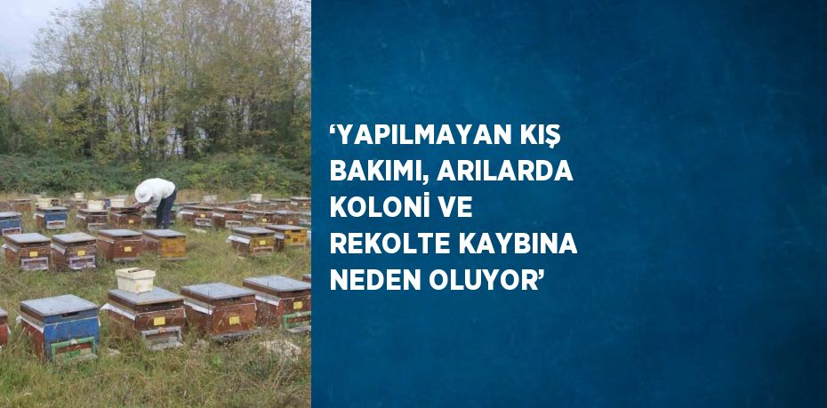 ‘YAPILMAYAN KIŞ BAKIMI, ARILARDA KOLONİ VE REKOLTE KAYBINA NEDEN OLUYOR’