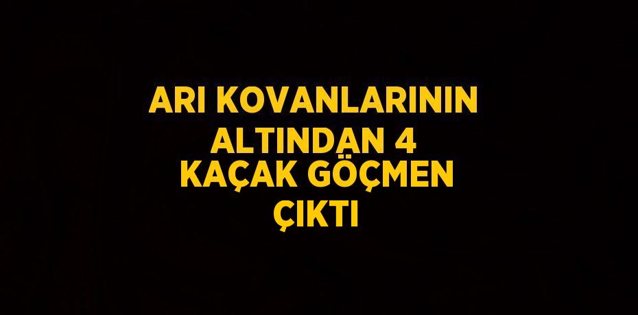 ARI KOVANLARININ ALTINDAN 4 KAÇAK GÖÇMEN ÇIKTI