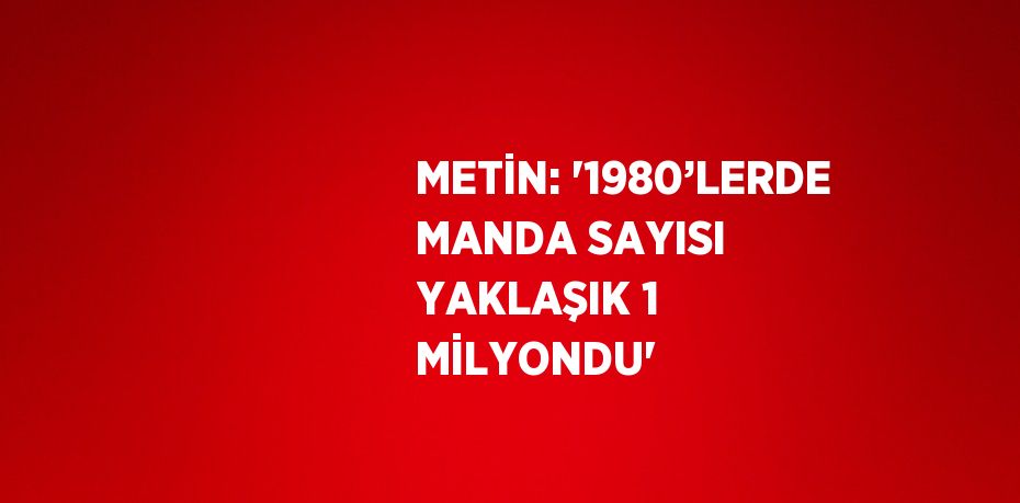 METİN: '1980’LERDE MANDA SAYISI YAKLAŞIK 1 MİLYONDU'