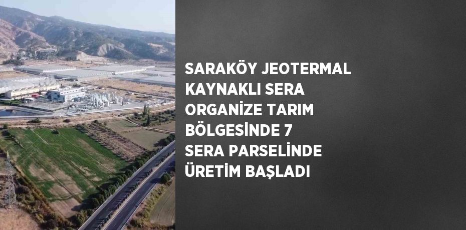 SARAKÖY JEOTERMAL KAYNAKLI SERA ORGANİZE TARIM BÖLGESİNDE 7 SERA PARSELİNDE ÜRETİM BAŞLADI