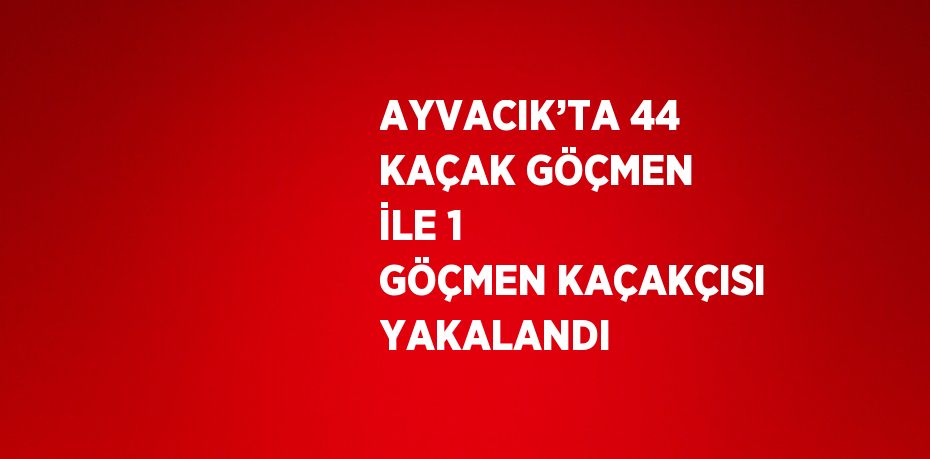 AYVACIK’TA 44 KAÇAK GÖÇMEN İLE 1 GÖÇMEN KAÇAKÇISI YAKALANDI