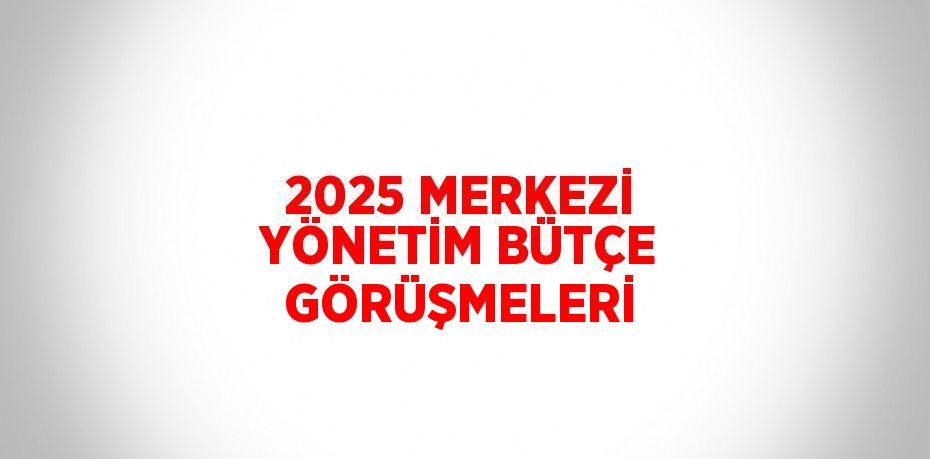 2025 MERKEZİ YÖNETİM BÜTÇE GÖRÜŞMELERİ