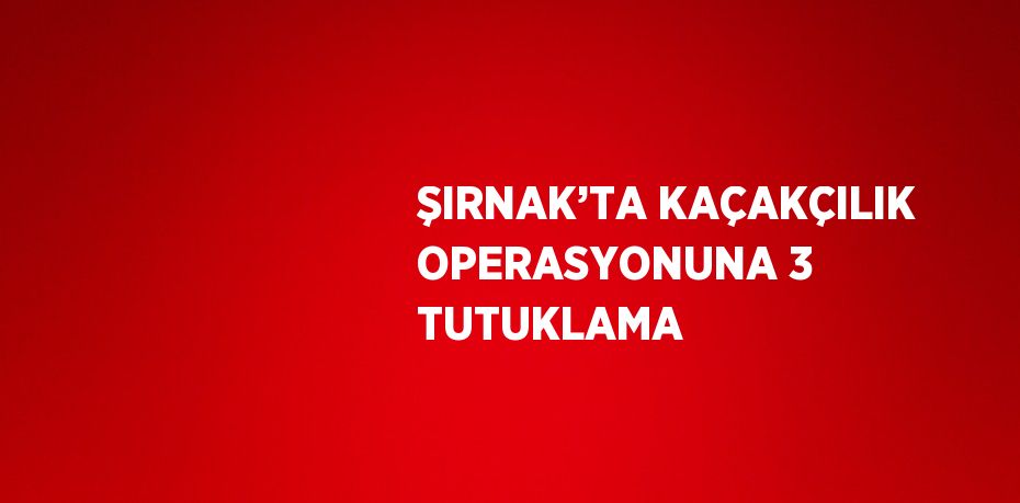 ŞIRNAK’TA KAÇAKÇILIK OPERASYONUNA 3 TUTUKLAMA