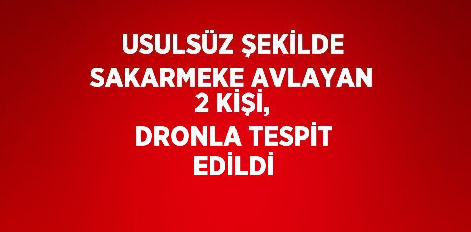 USULSÜZ ŞEKİLDE SAKARMEKE AVLAYAN 2 KİŞİ, DRONLA TESPİT EDİLDİ