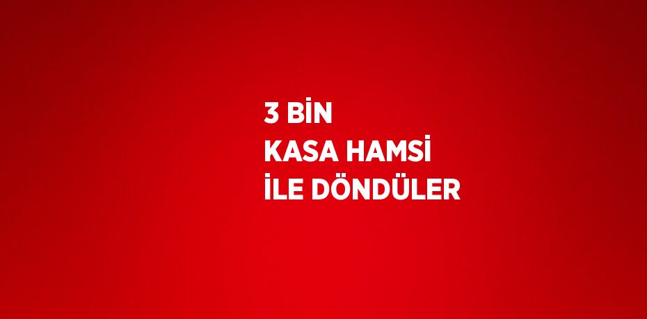 3 BİN KASA HAMSİ İLE DÖNDÜLER