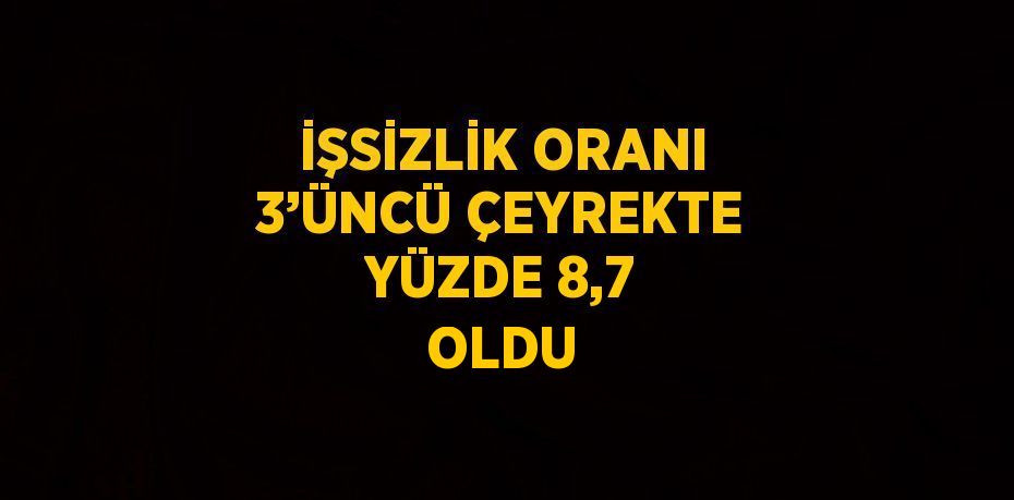 İŞSİZLİK ORANI 3’ÜNCÜ ÇEYREKTE YÜZDE 8,7 OLDU