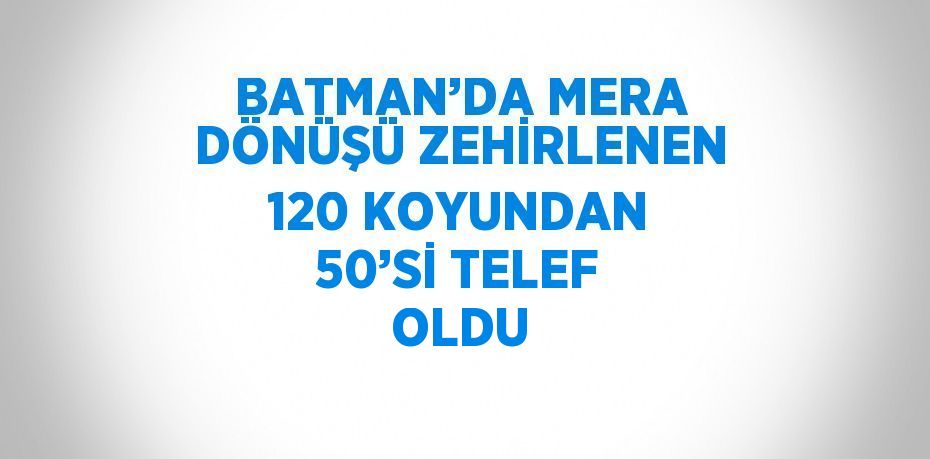 BATMAN’DA MERA DÖNÜŞÜ ZEHİRLENEN 120 KOYUNDAN 50’Sİ TELEF OLDU