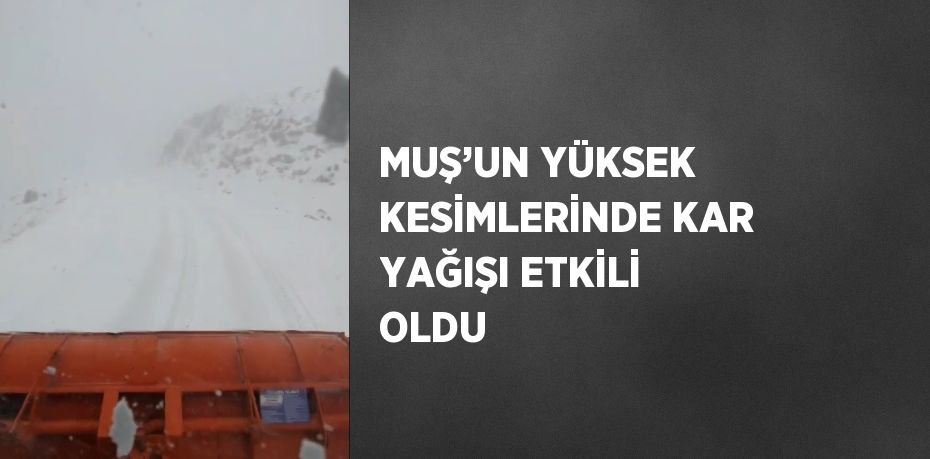 MUŞ’UN YÜKSEK KESİMLERİNDE KAR YAĞIŞI ETKİLİ OLDU