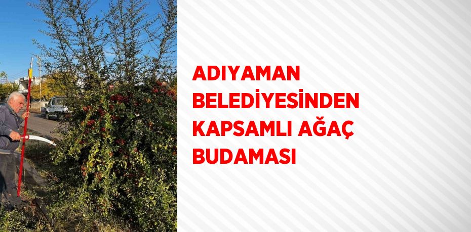 ADIYAMAN BELEDİYESİNDEN KAPSAMLI AĞAÇ BUDAMASI