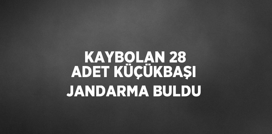 KAYBOLAN 28 ADET KÜÇÜKBAŞI JANDARMA BULDU