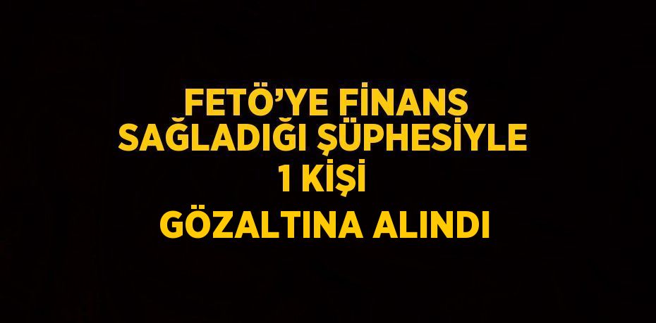 FETÖ’YE FİNANS SAĞLADIĞI ŞÜPHESİYLE 1 KİŞİ GÖZALTINA ALINDI