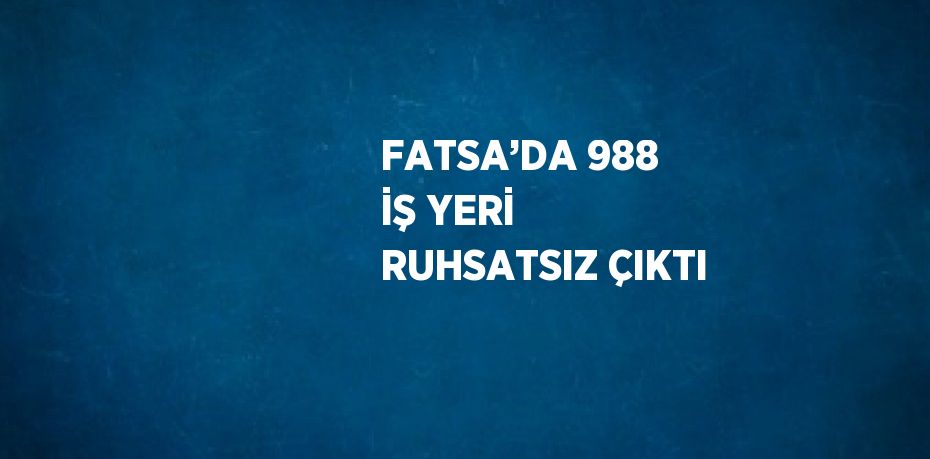 FATSA’DA 988 İŞ YERİ RUHSATSIZ ÇIKTI