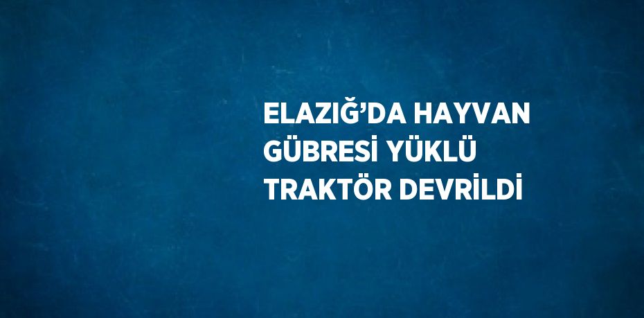 ELAZIĞ’DA HAYVAN GÜBRESİ YÜKLÜ TRAKTÖR DEVRİLDİ